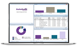 autoaudit empowered interface